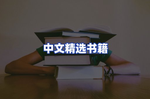 中文精选书籍